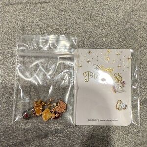 Disney Princess Beauty and the Beast Charms.